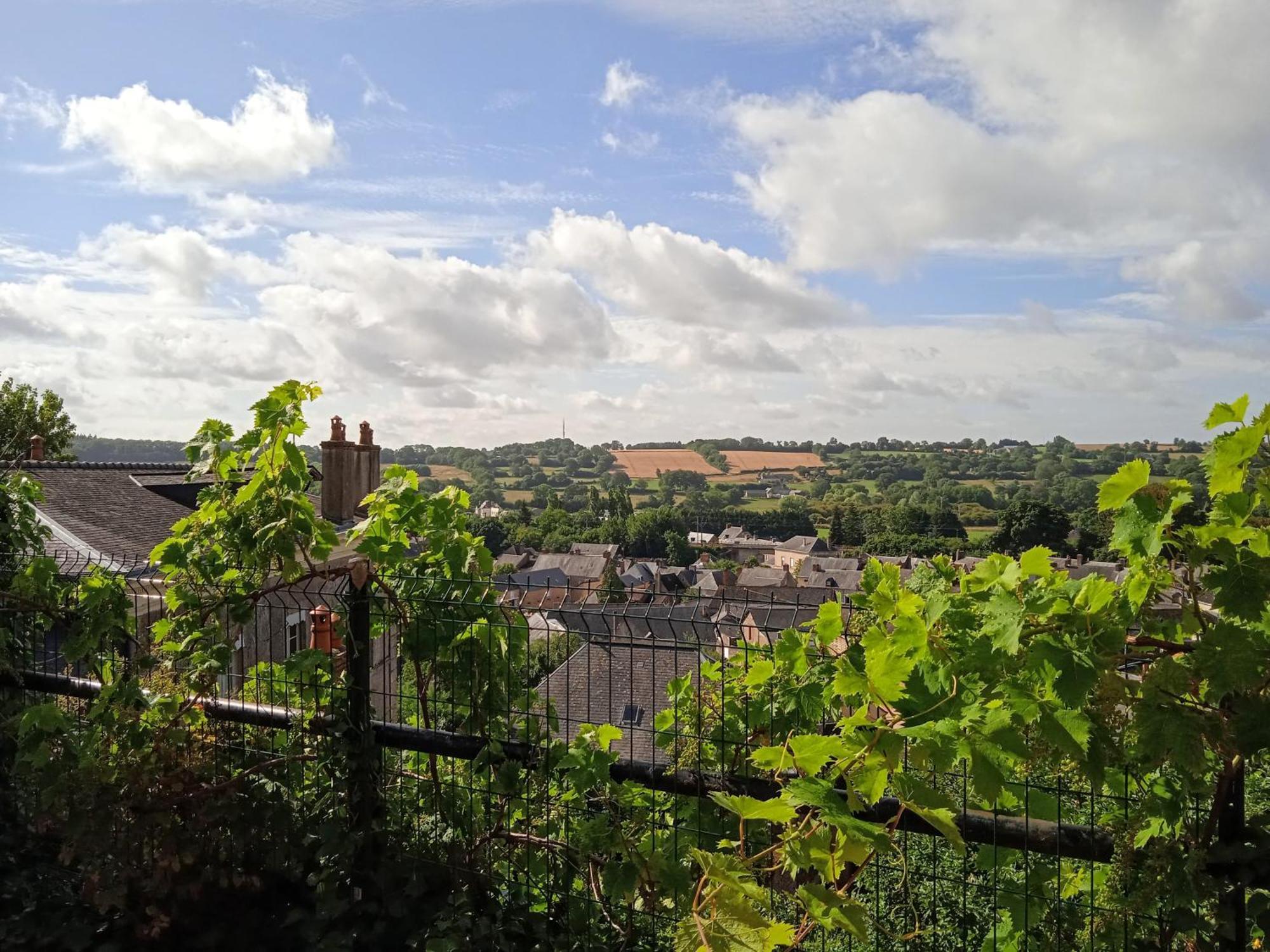 Charming Detached 2 Bedroom Ancient House In Medieval Quarter Of A Small Town In The Pays De La Loire, France Sille-le-Guillaume Ngoại thất bức ảnh